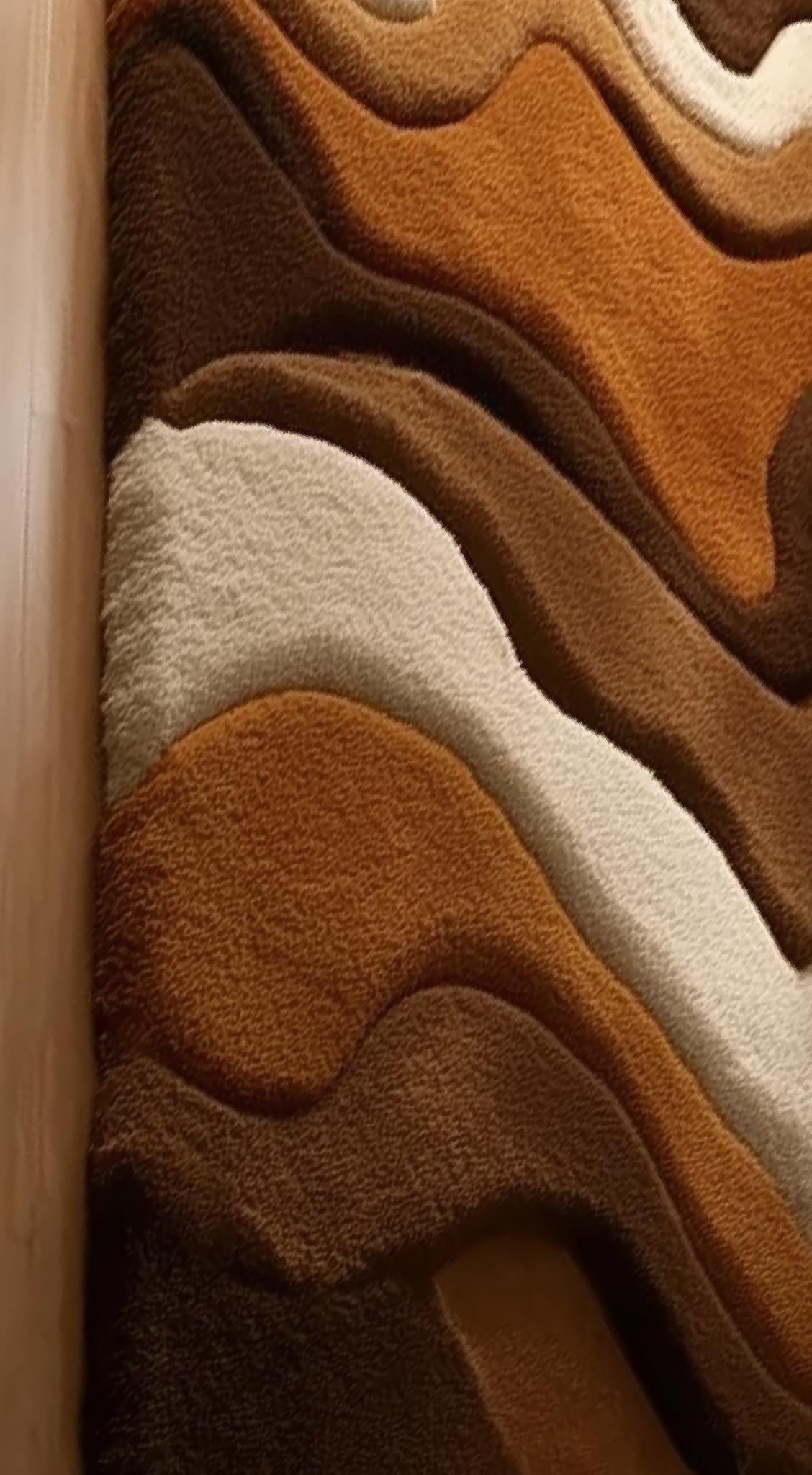 Hand-Tufted Shag Area Rug: Plush Bohemian Moroccan Style