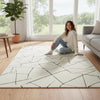 Handmade Wool Area Rug: Abstract Geometric Cream and Black Rug