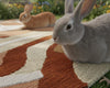 Modern Abstract Rug: Beige & Rust Organic, Custom Size