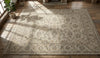 Hand Knotted Wool Rug, Persian Floral Area Carpet, Neutral Beige Living Room
